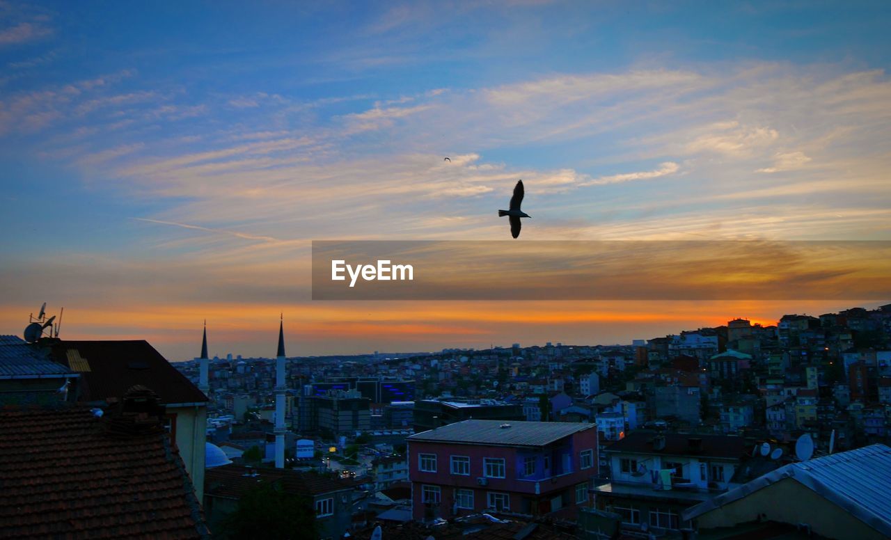 Scenic cityscape at sunset