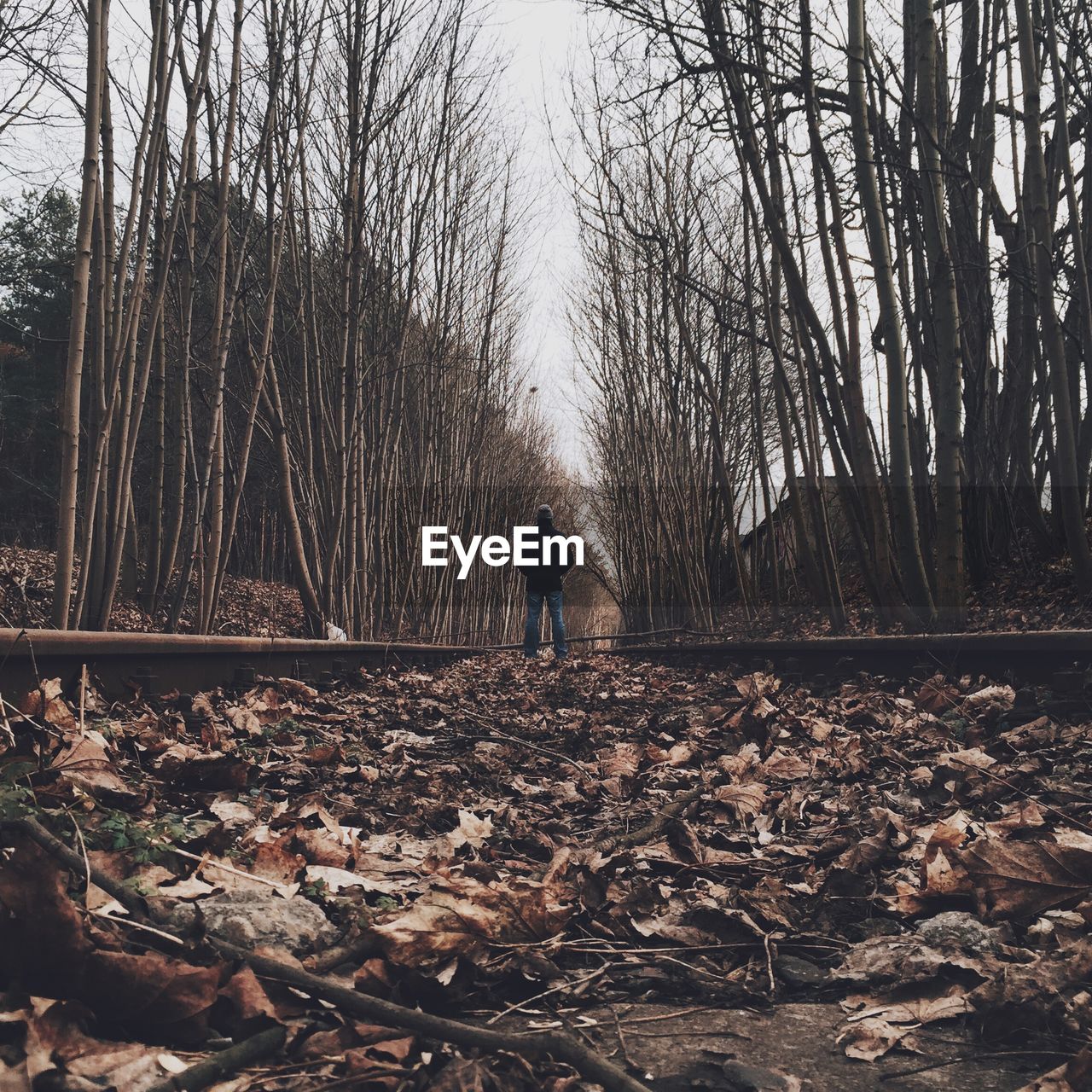 Rear view of man standing on railroad track