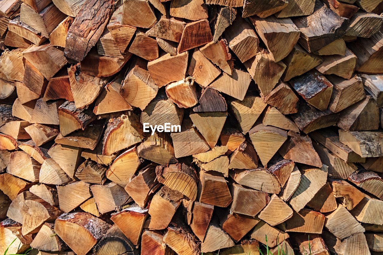 Full frame shot of logs in forest