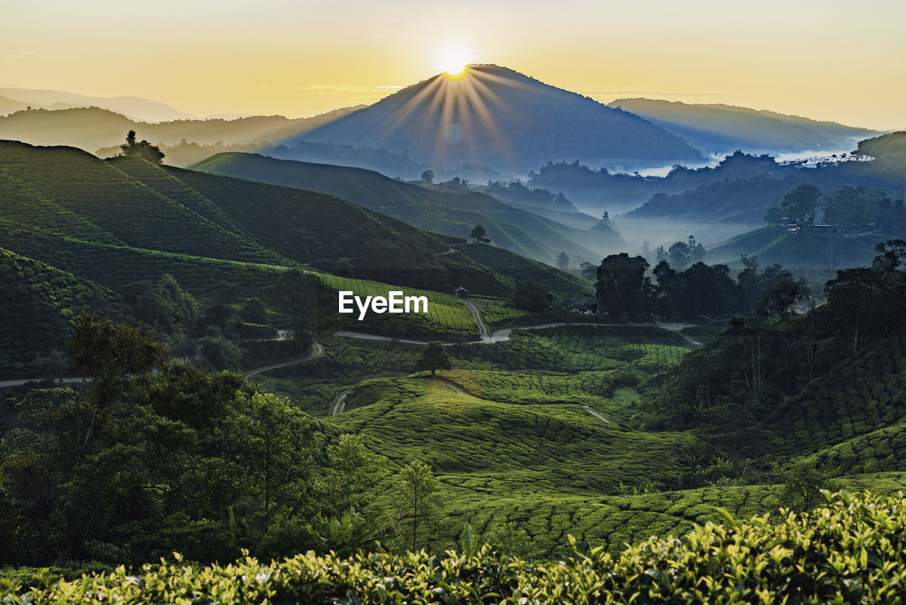 SCENIC VIEW OF LANDSCAPE DURING SUNSET