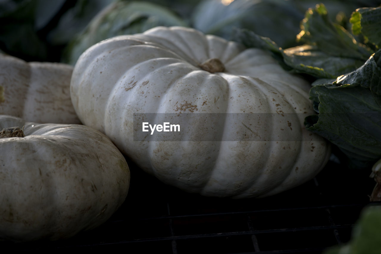 CLOSE-UP OF ONIONS FOR SALE AT MARKET