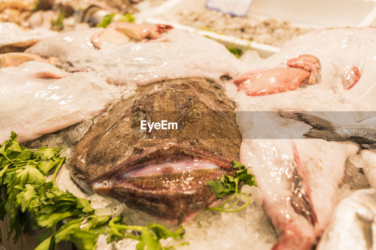 CLOSE-UP OF FISH FOR SALE AT MARKET