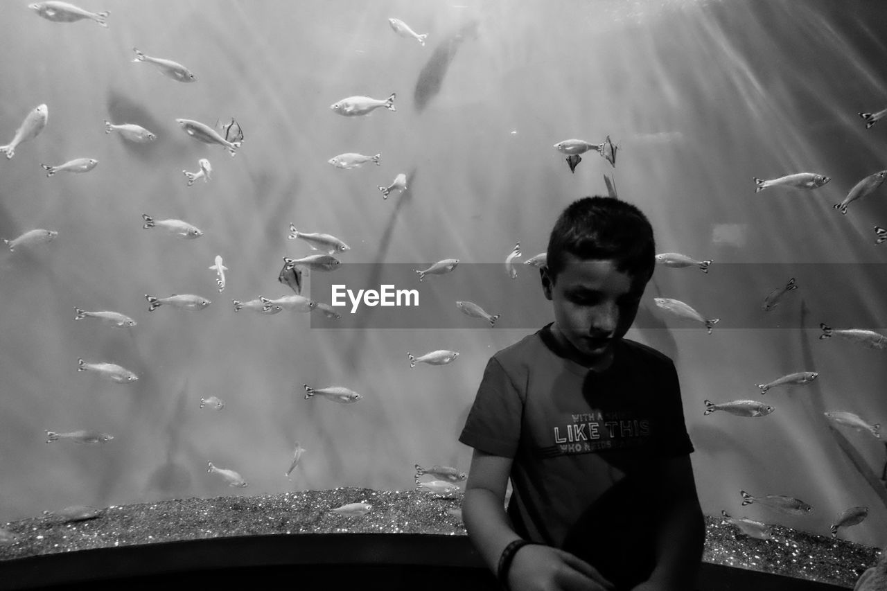 Thoughtful boy against fish in aquarium