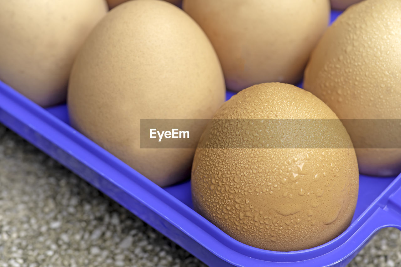 HIGH ANGLE VIEW OF EGGS IN CONTAINER