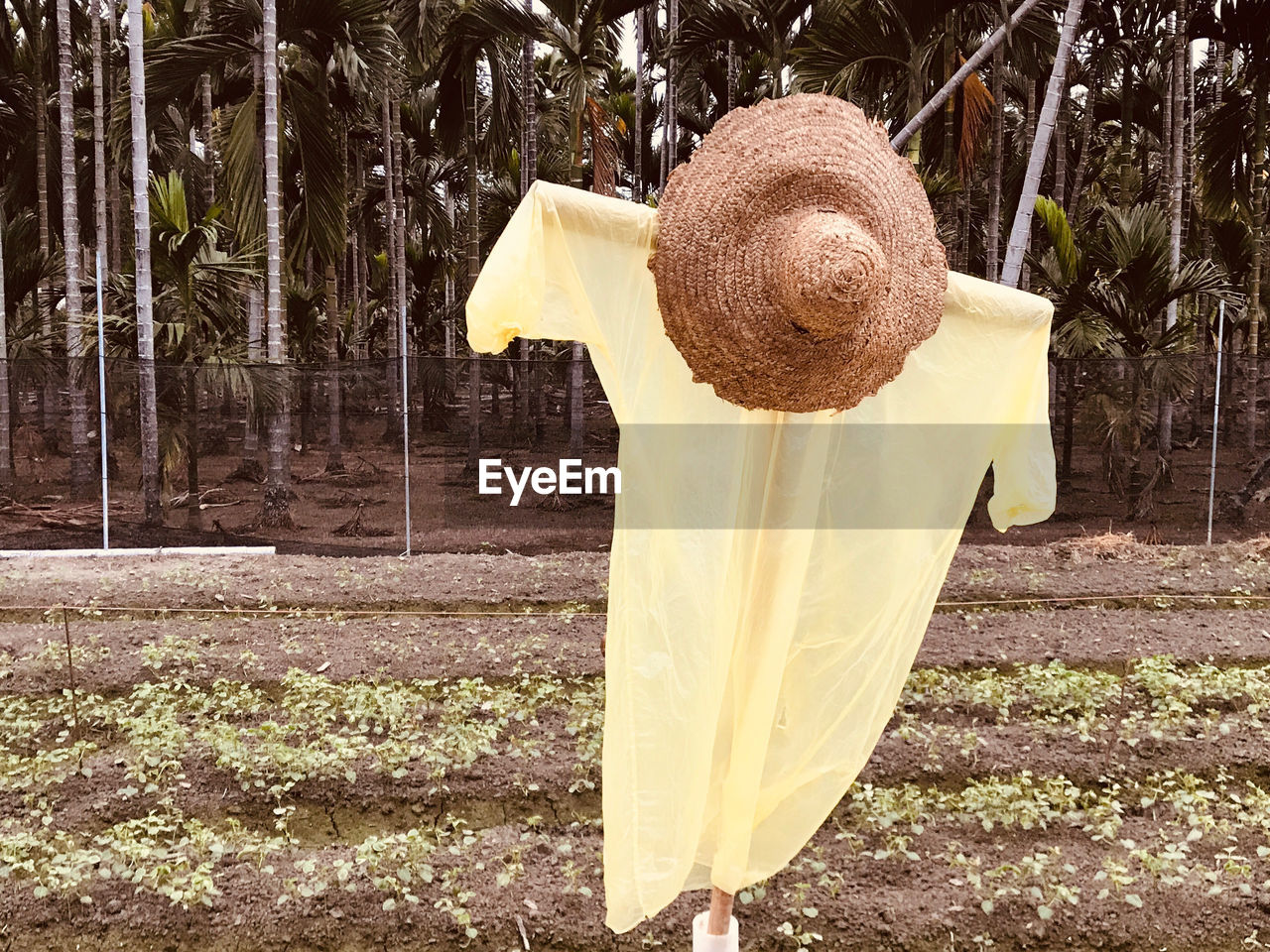 CLOSE-UP OF YELLOW HAT ON FIELD