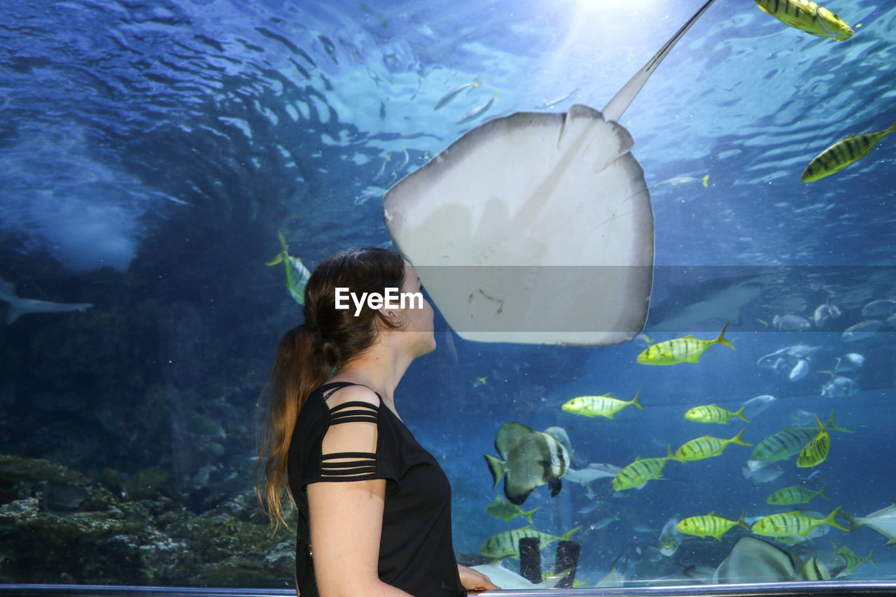 Side view of young woman looking at fish swimming in tank at aquarium