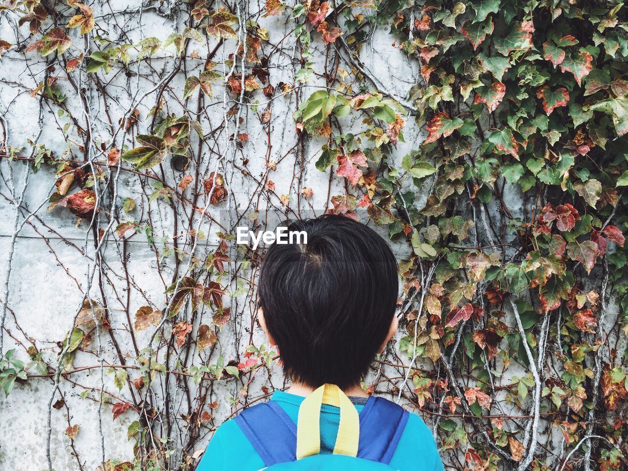 Rear view of boy looking at dry ivy plants on wall