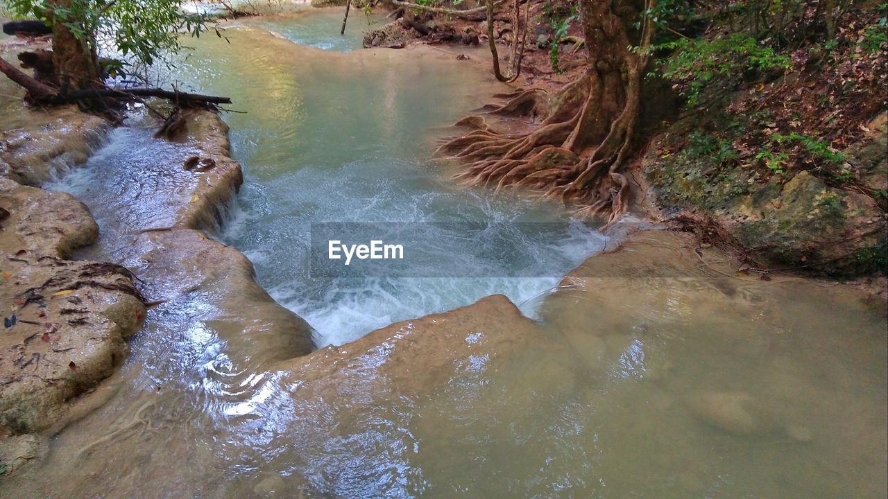 HIGH ANGLE VIEW OF WATER FLOWING IN TREES