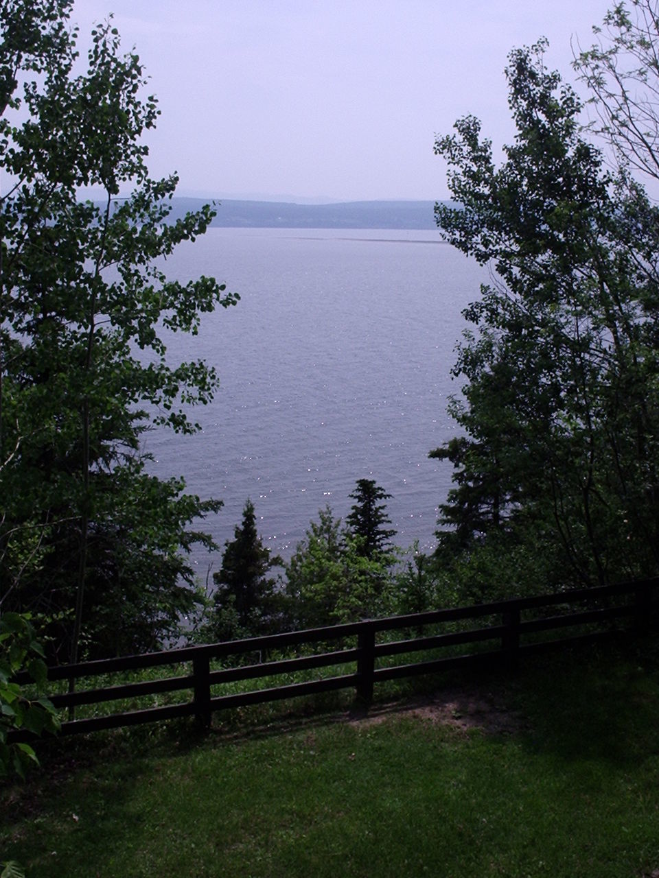 SCENIC VIEW OF LAKE AGAINST TREES