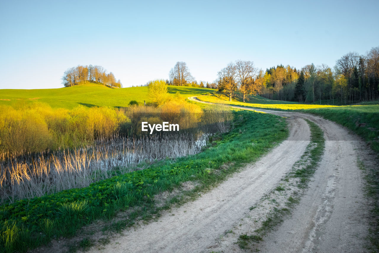 plant, landscape, environment, sky, land, road, tree, nature, rural area, grass, scenics - nature, hill, field, beauty in nature, rural scene, morning, no people, tranquility, meadow, tranquil scene, transportation, clear sky, green, prairie, dirt road, non-urban scene, agriculture, blue, flower, autumn, footpath, dirt, the way forward, outdoors, day, country road, yellow, forest, leaf, grassland, growth, travel, horizon, idyllic, woodland