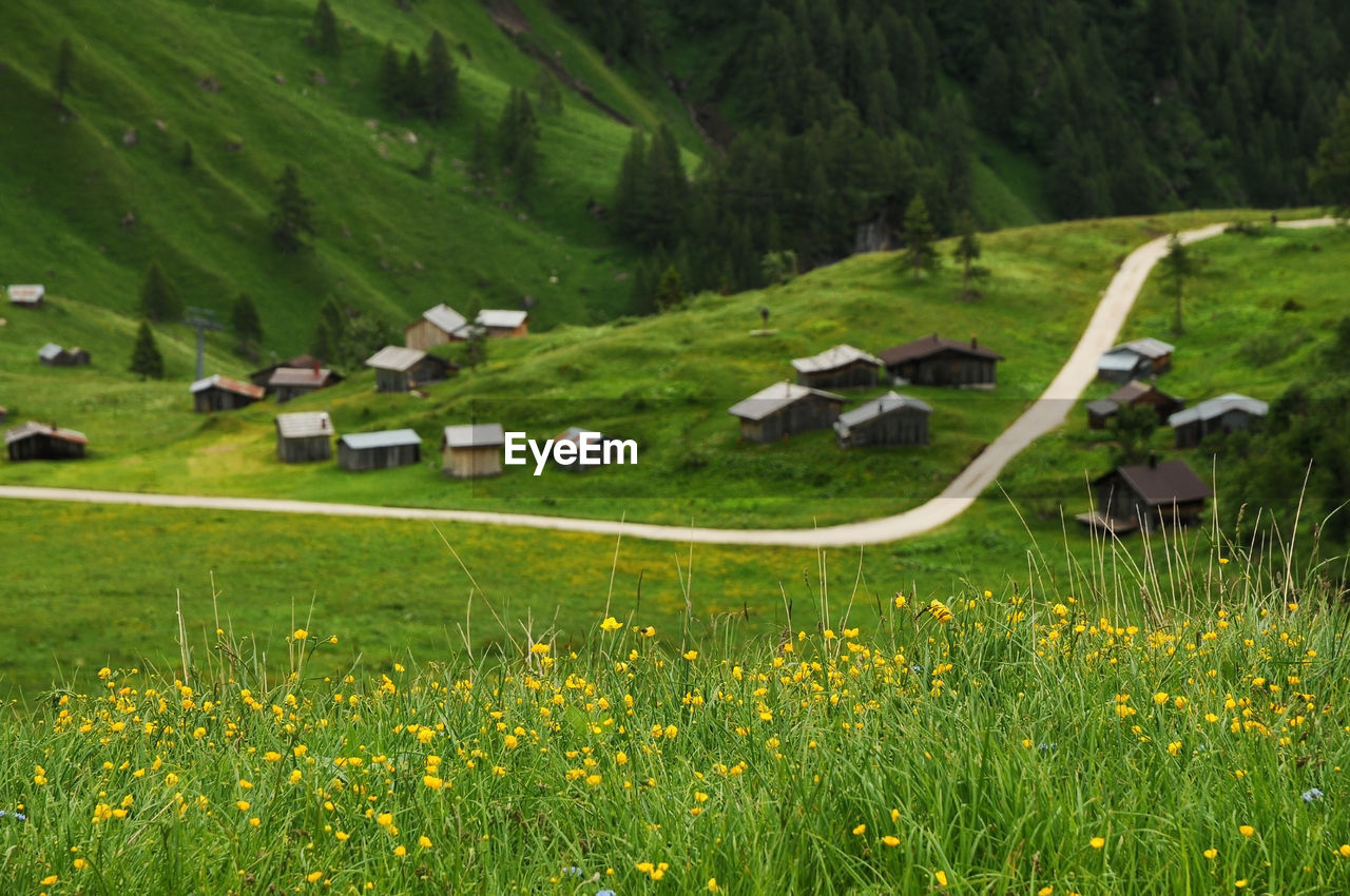 Scenic view of grassy field against cloudy sky