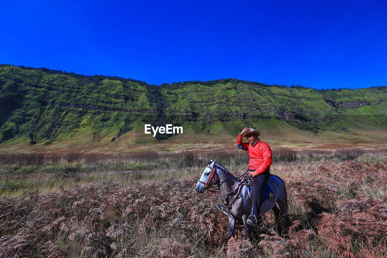 Man riding horse on field against sky during sunny day