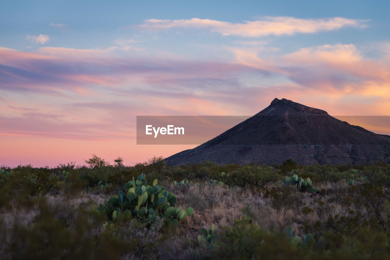 Scenic view of field against sky during sunset in big bend national park - texas