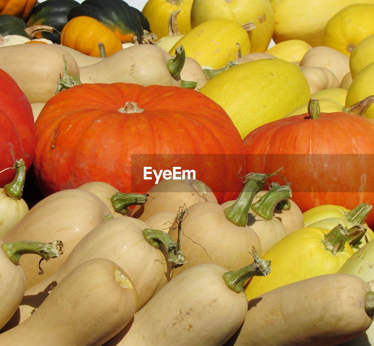 Full frame shot of squash and pumpkins at market