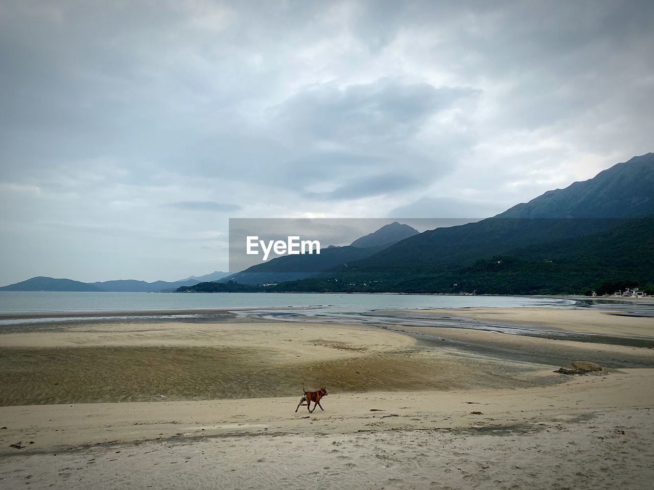 SCENIC VIEW OF BEACH AGAINST THE SKY