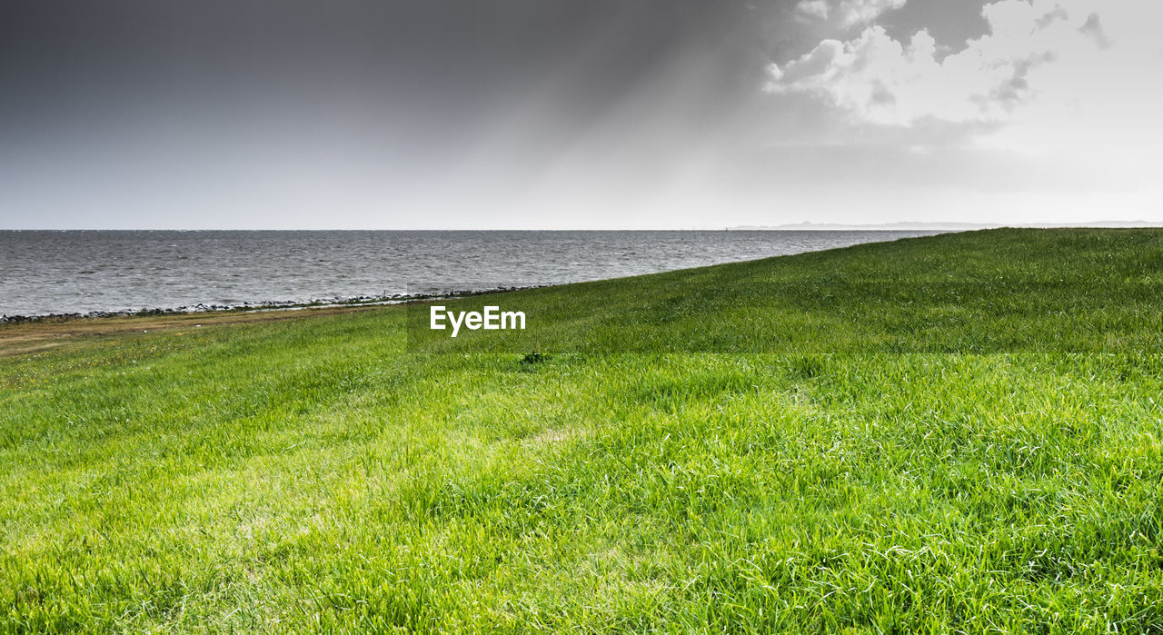 SCENIC VIEW OF GRASSY FIELD AGAINST SKY