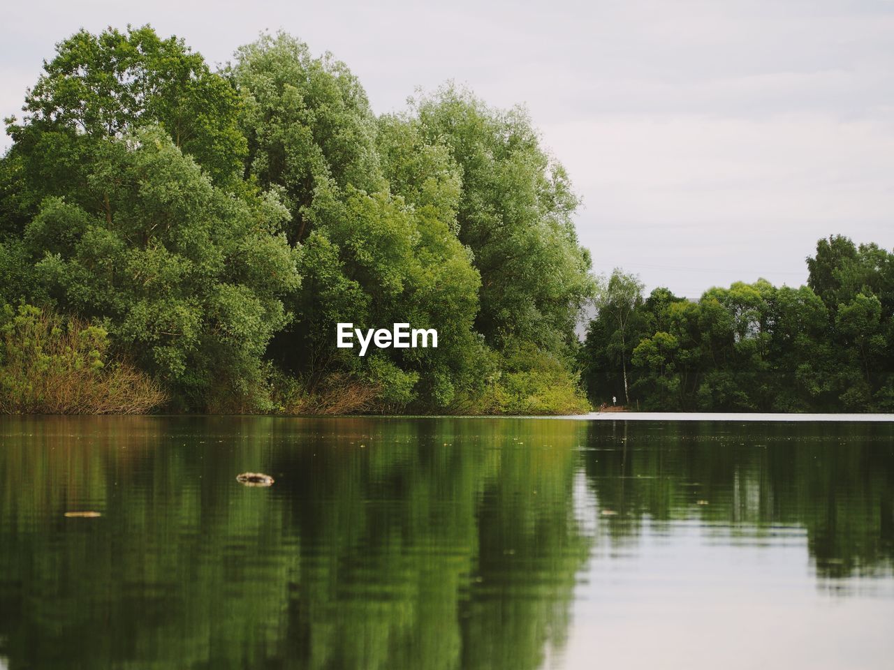 SCENIC VIEW OF LAKE AGAINST TREES