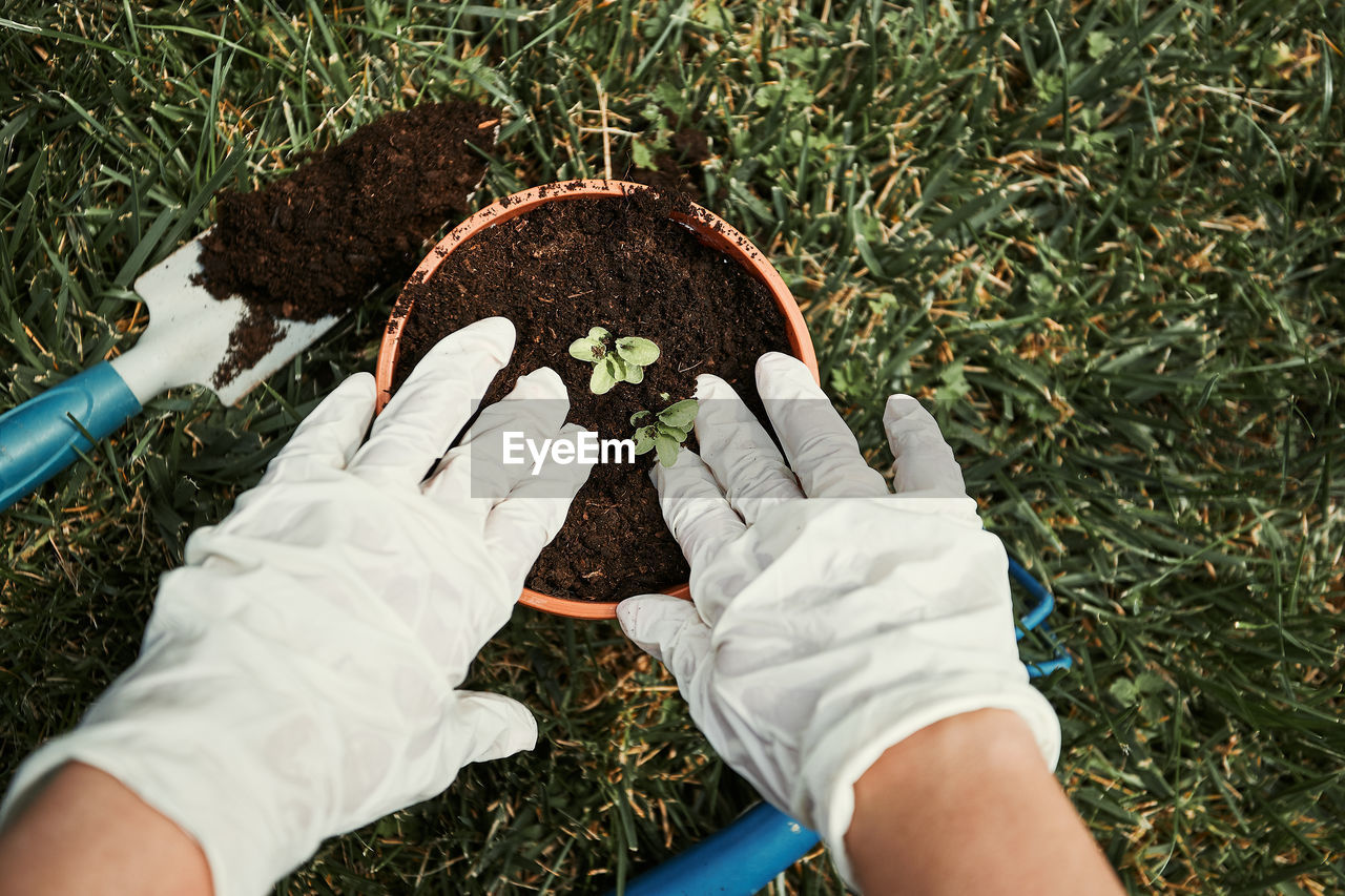 Close-up of person gardening on field