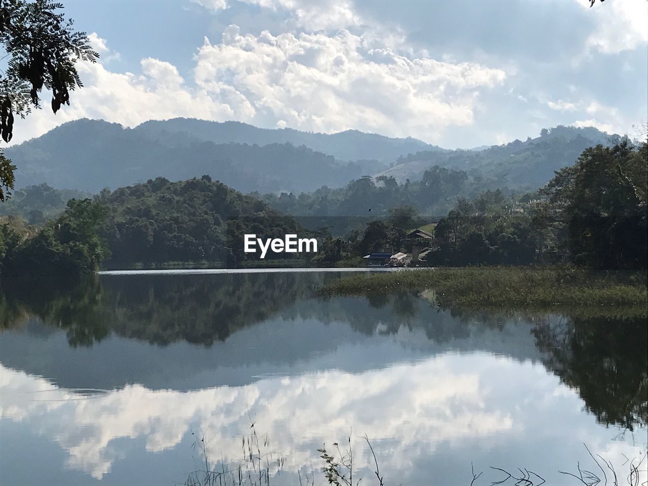 SCENIC VIEW OF LAKE BY TREES AGAINST SKY