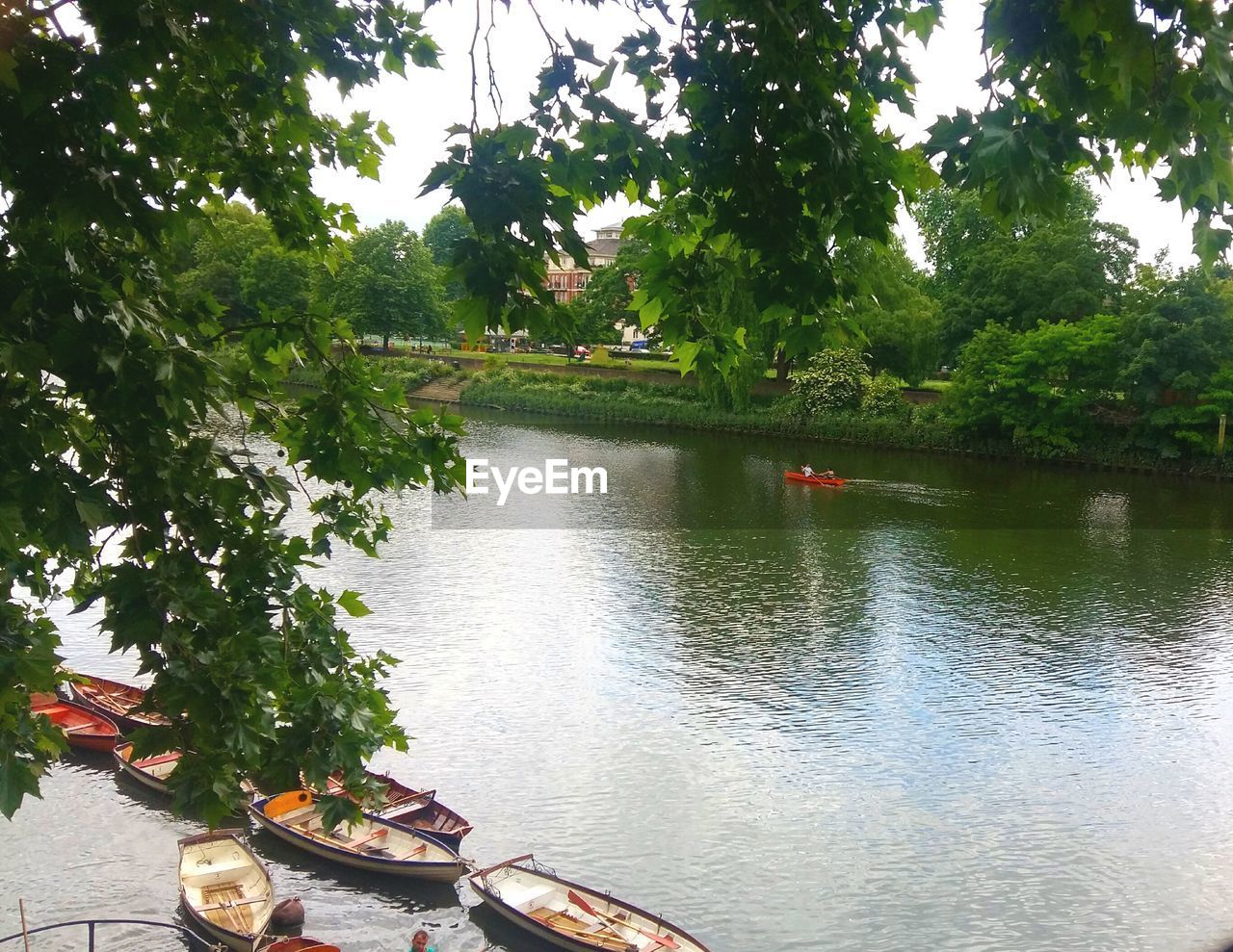 SCENIC VIEW OF RIVER AMIDST TREES AGAINST SKY