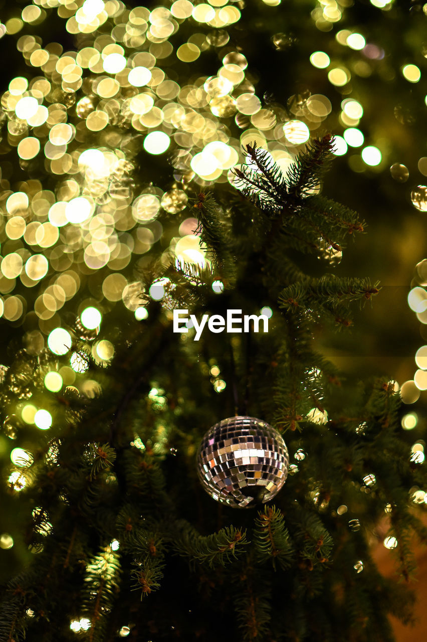 Low angle view of christmas tree against defocused lights at night