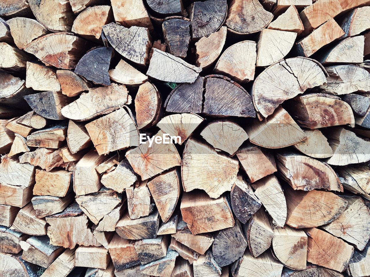 Full frame shot of logs in forest