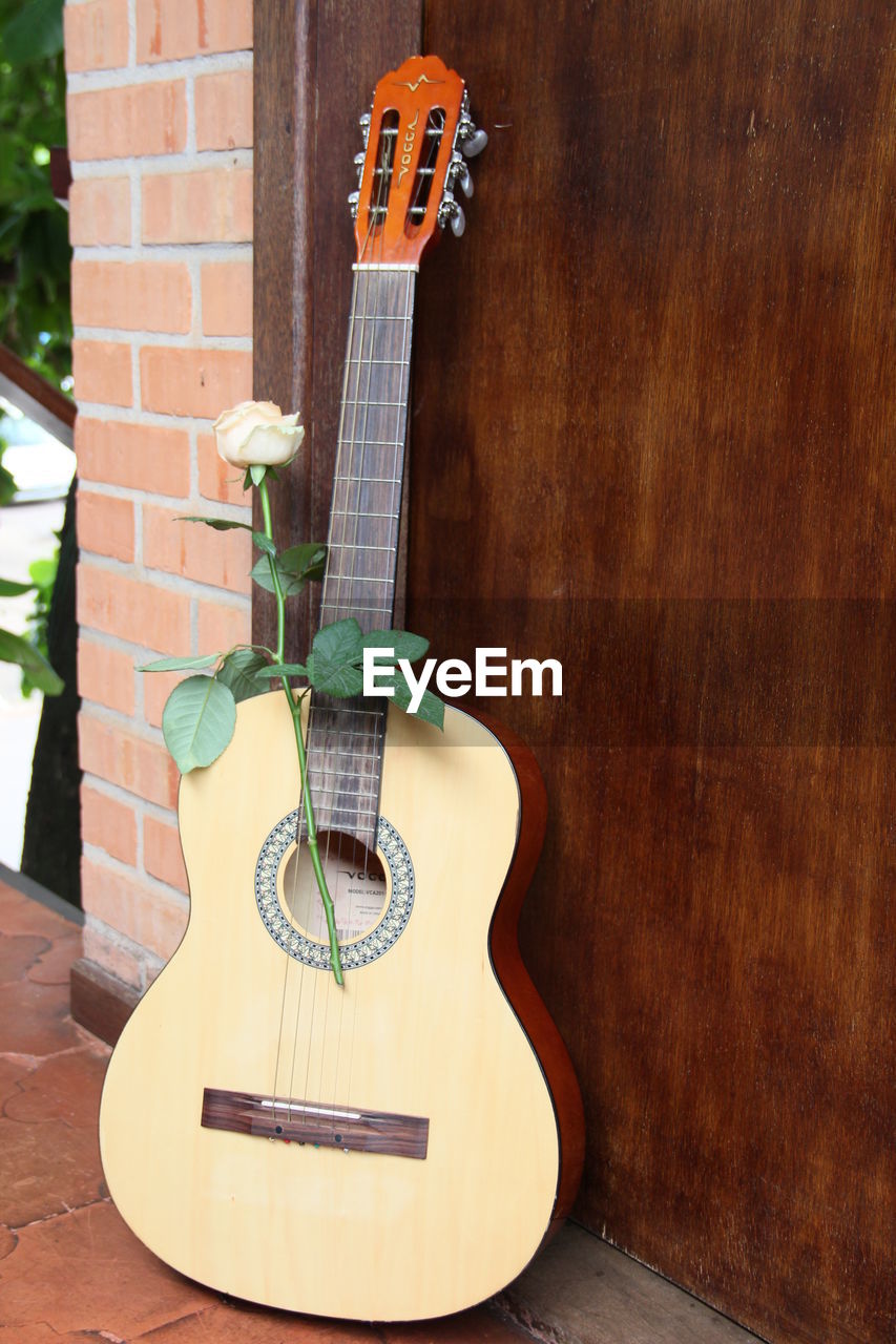 Close-up of guitar and rose against wall