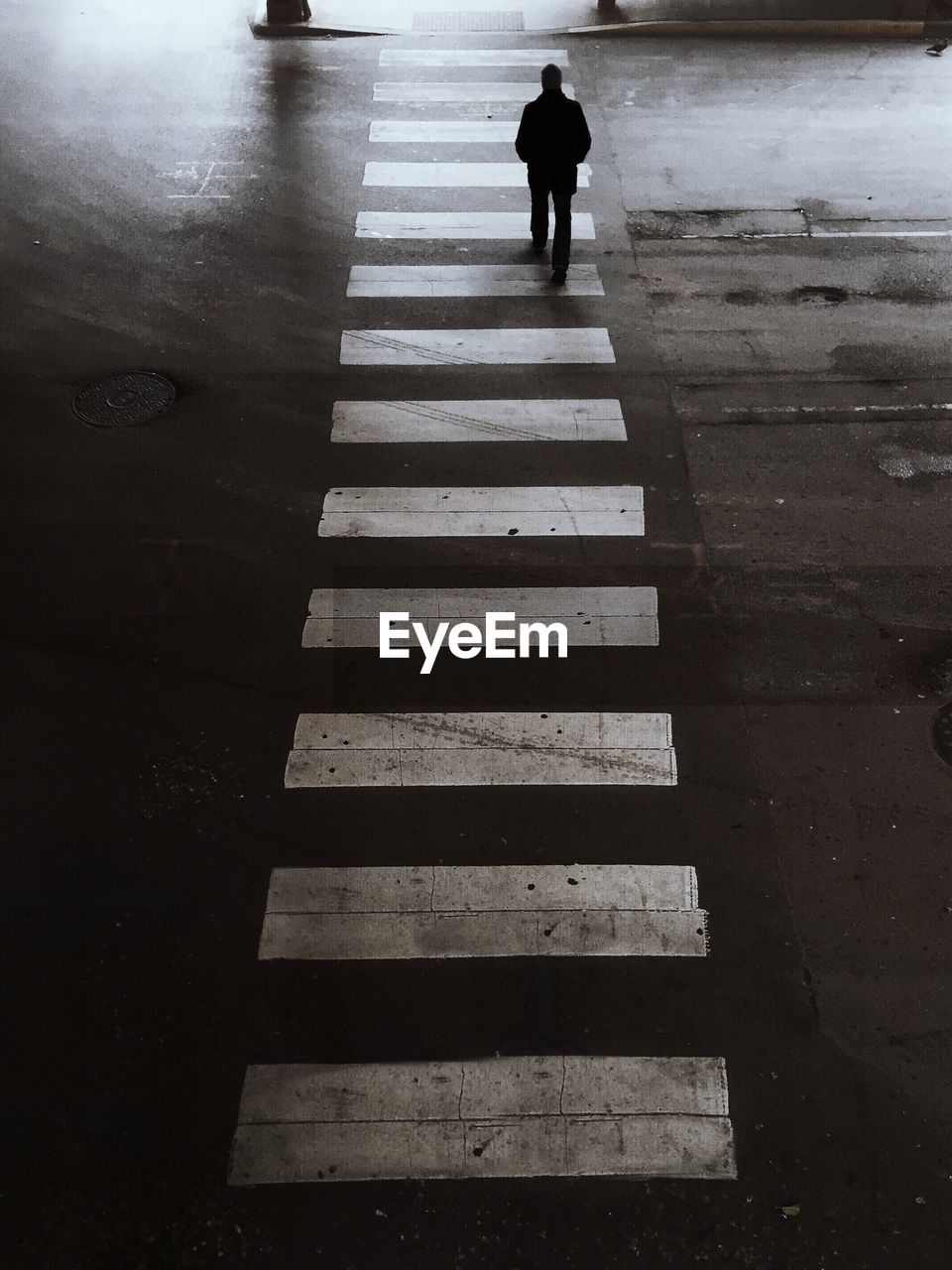 Rear view of man walking on zebra crossing