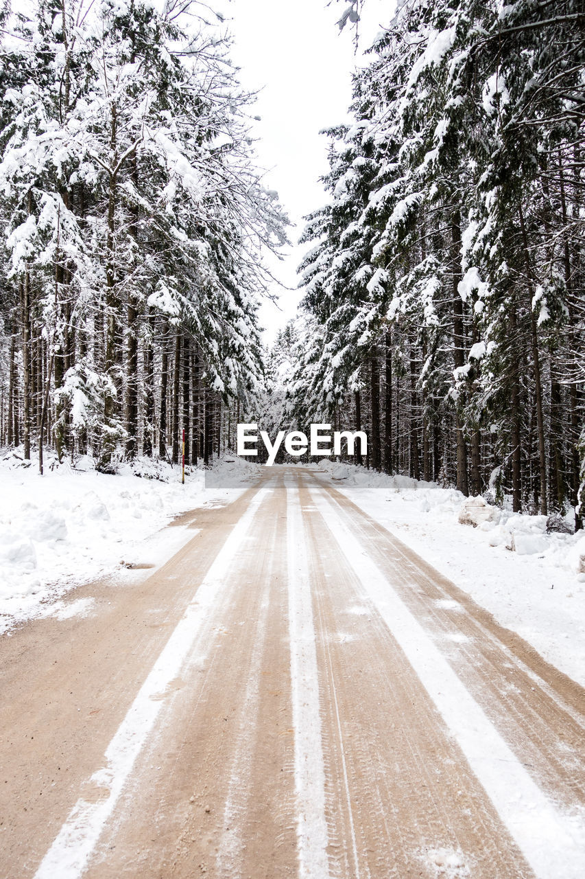 Road amidst trees during winter