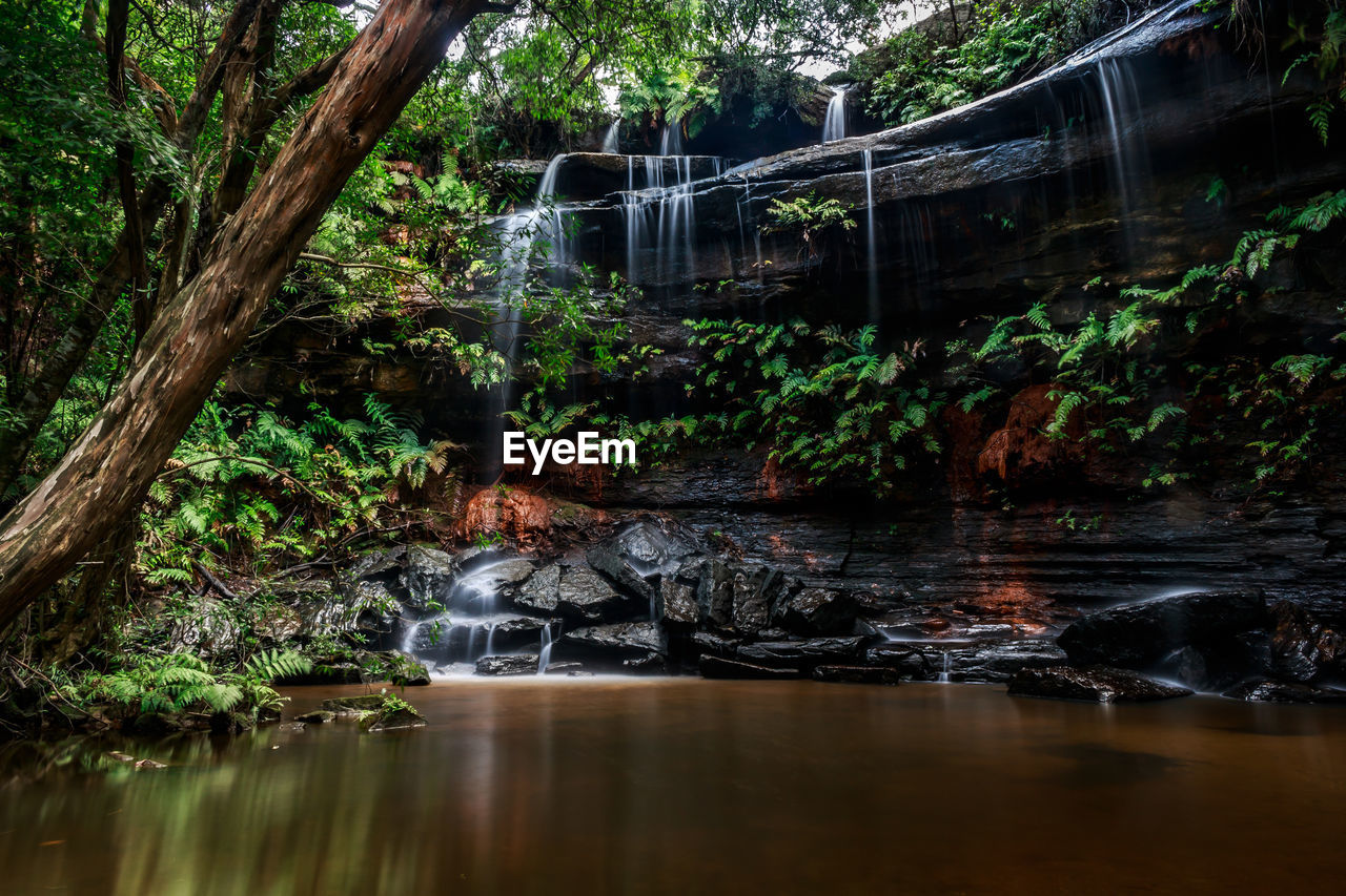 Scenic view of waterfall in forest