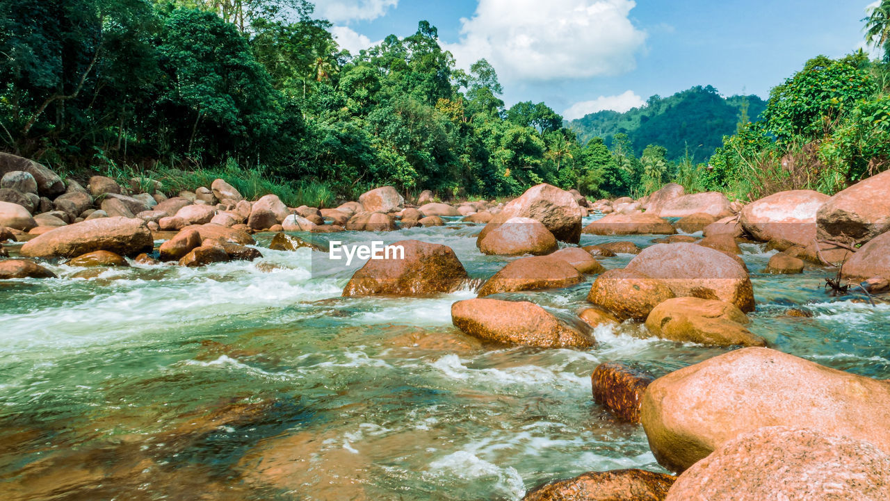 ROCKS BY RIVER AGAINST TREES