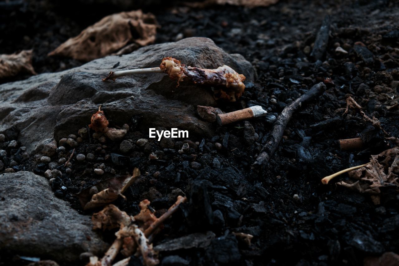 High angle view of leftovers and cigarette butts on coal