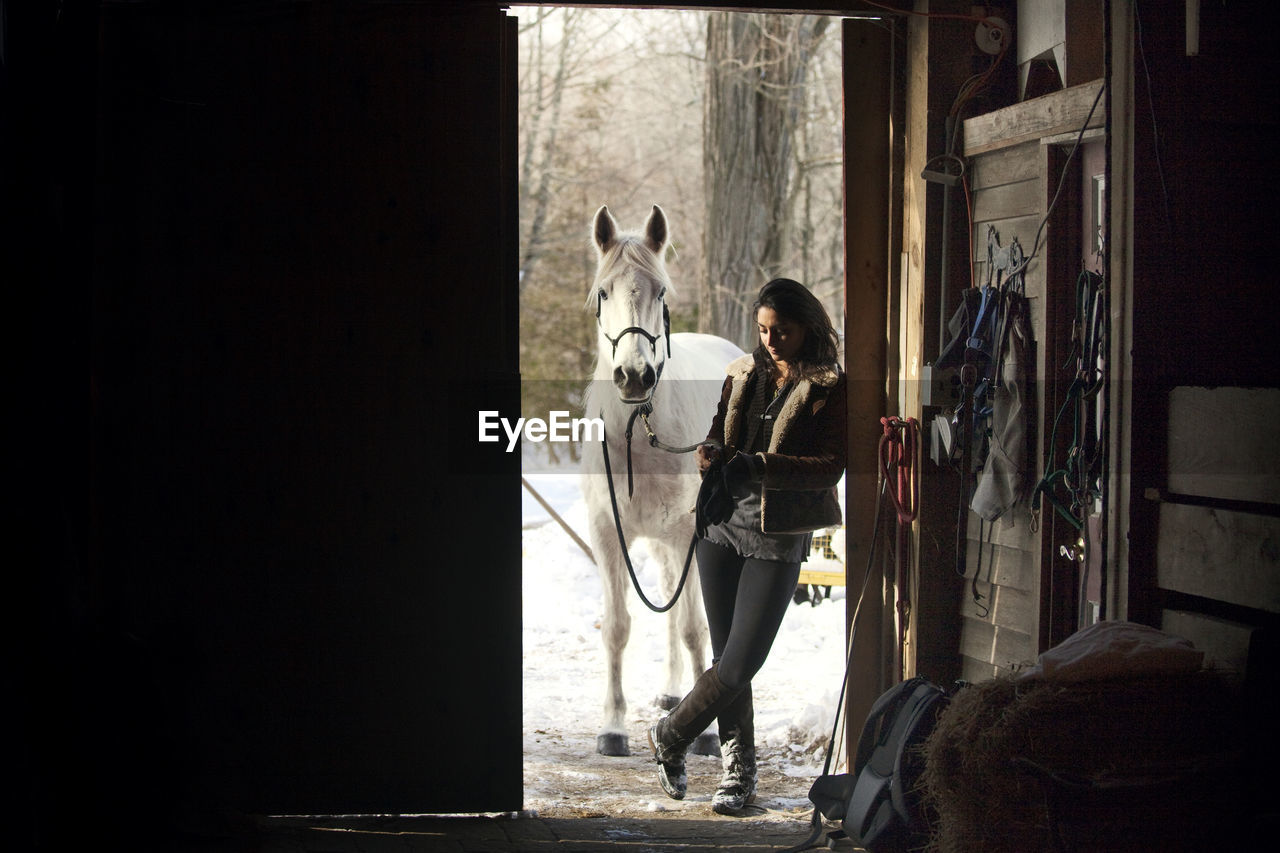 Woman standing with horse while leaning on doorway at stable