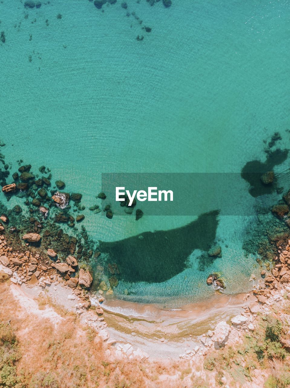 HIGH ANGLE VIEW OF TURTLE UNDERWATER