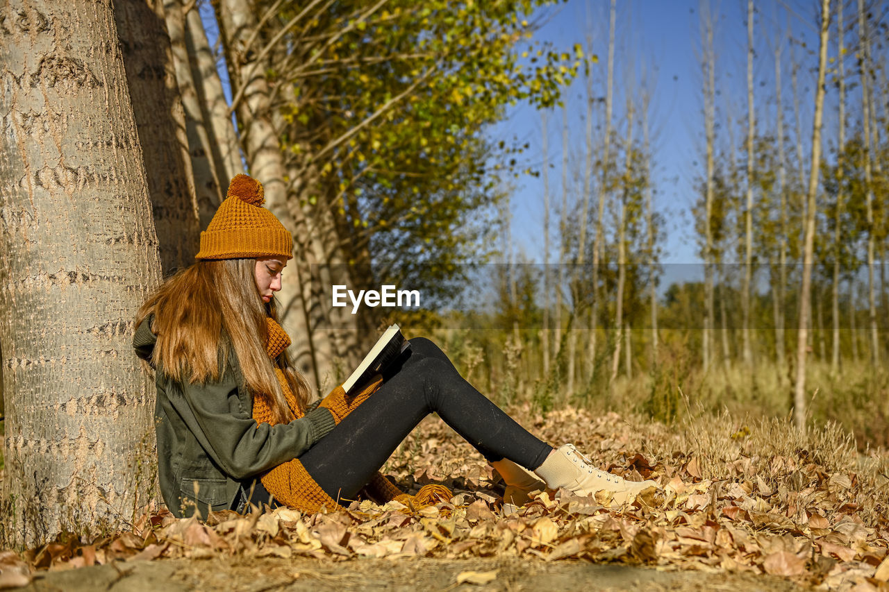 rear view of woman sitting on rock in forest