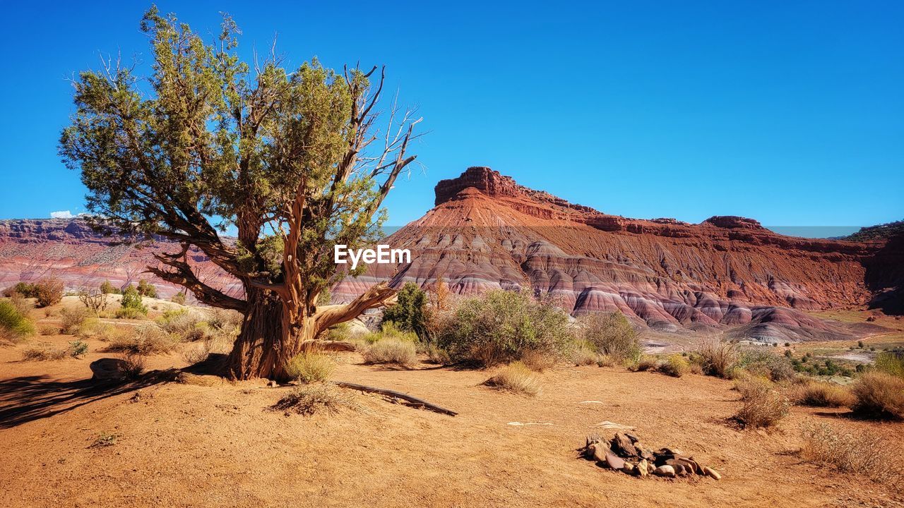 Scenic view of desert against clear blue sky