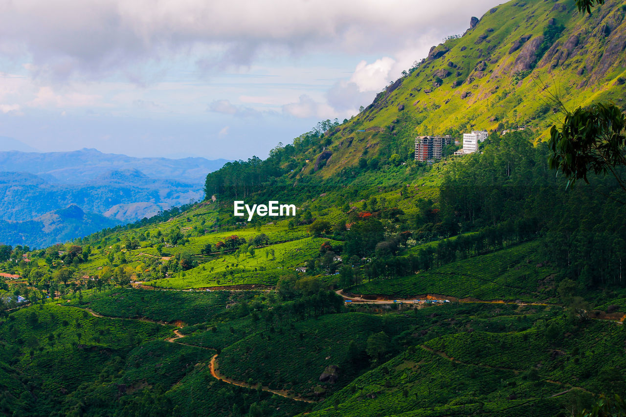 Beauty of munnar , kerala, india. the mesmerizing south indian greenery mountains. god's own country