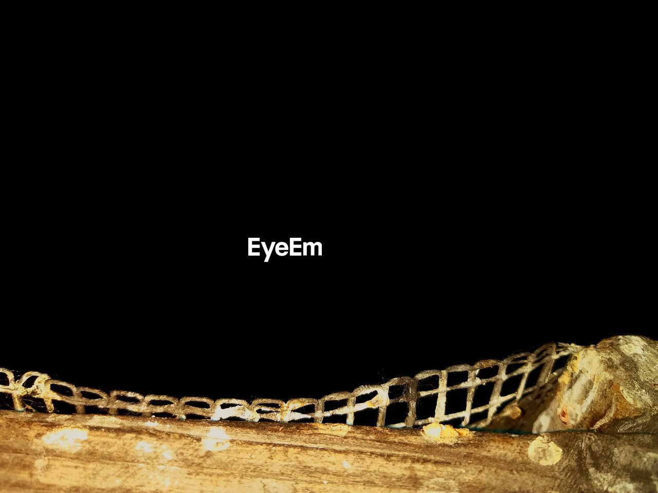 CLOSE-UP OF GIRAFFE AGAINST BLACK BACKGROUND