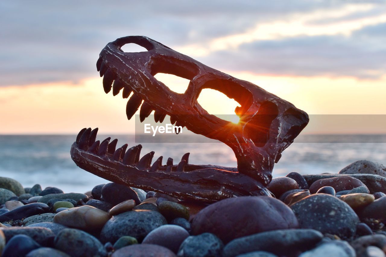 Close-up of rocks on beach against sky during sunset