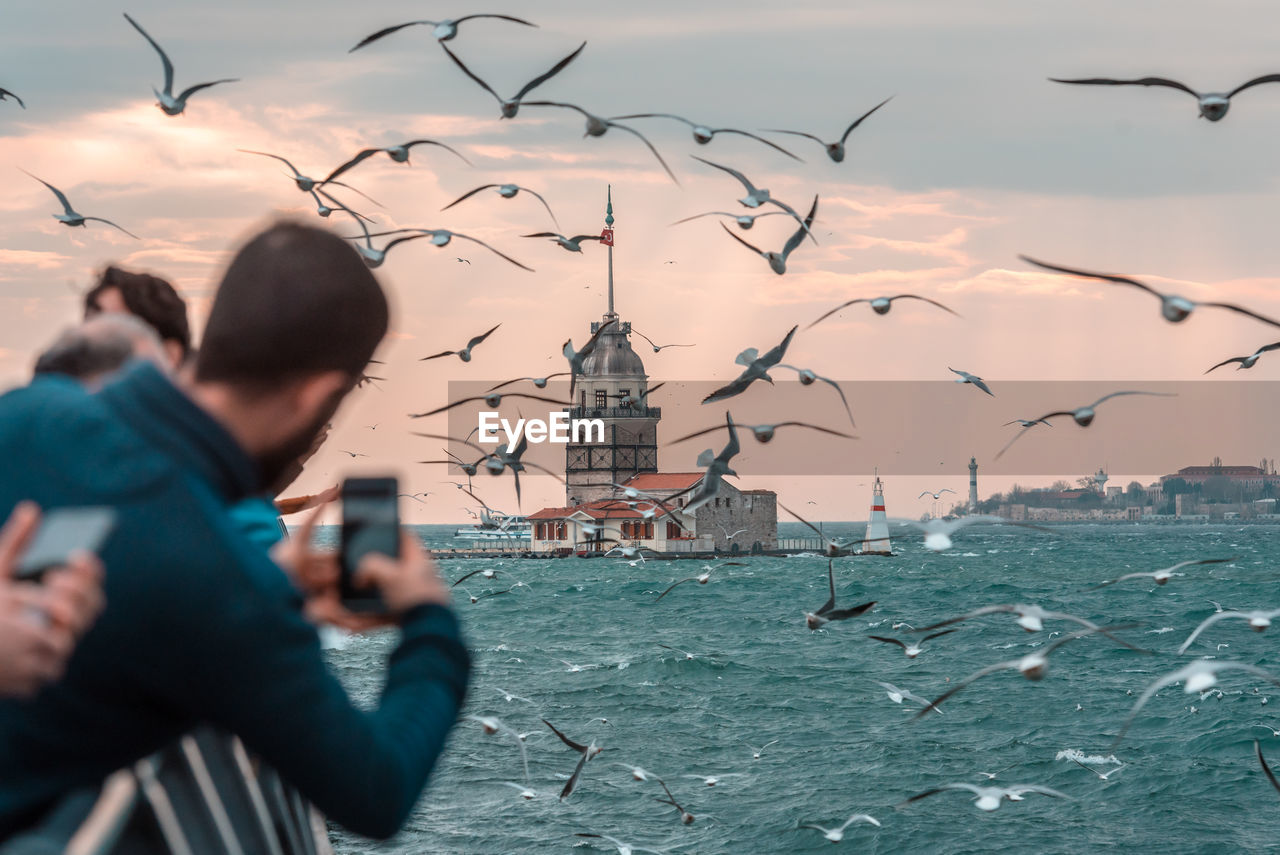 VIEW OF BIRDS FLYING OVER SEA