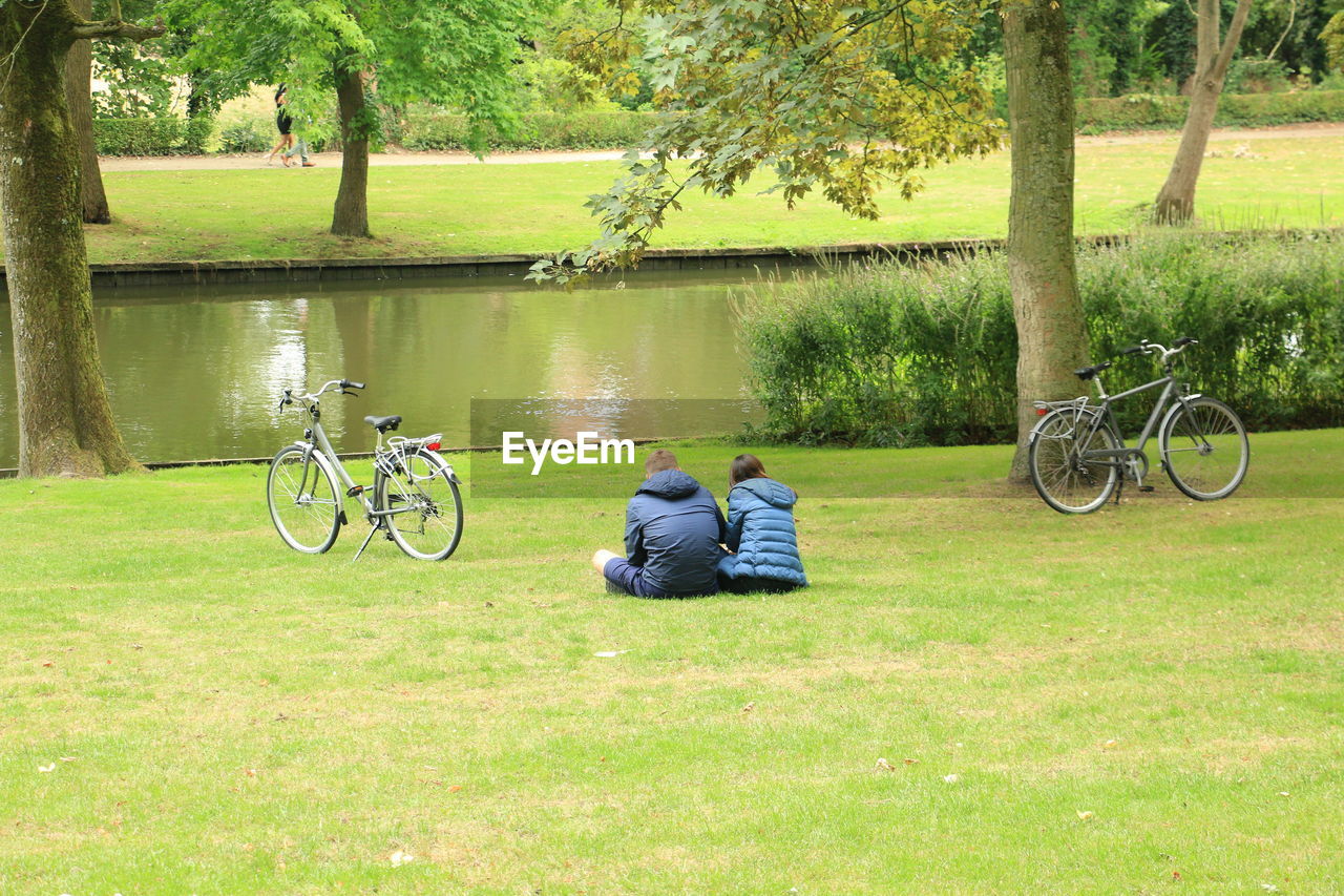 Rear view of couple sitting at park