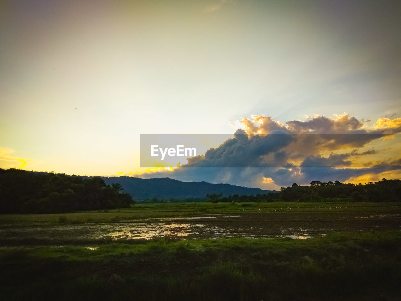 SCENIC VIEW OF FIELD DURING SUNSET