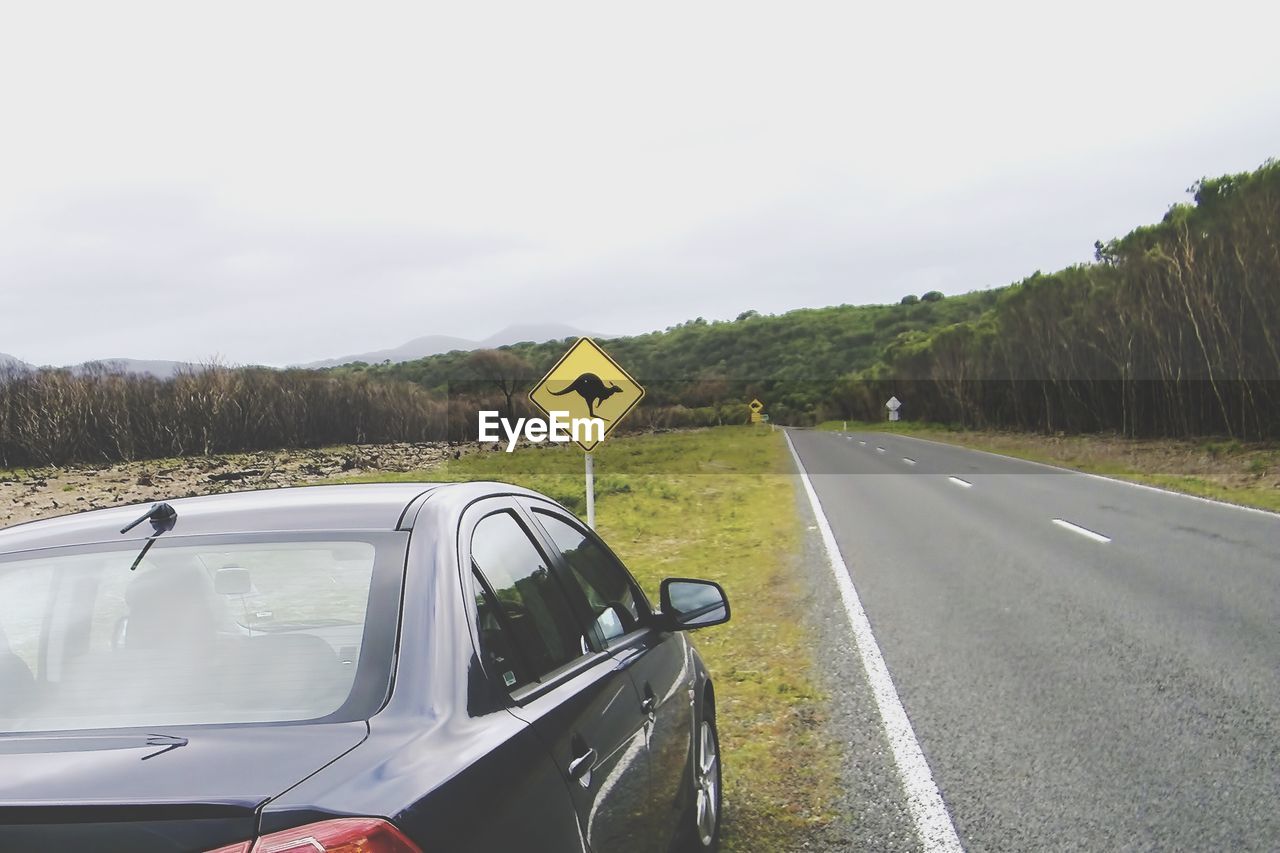 Kangaroo crossing sign in front of car