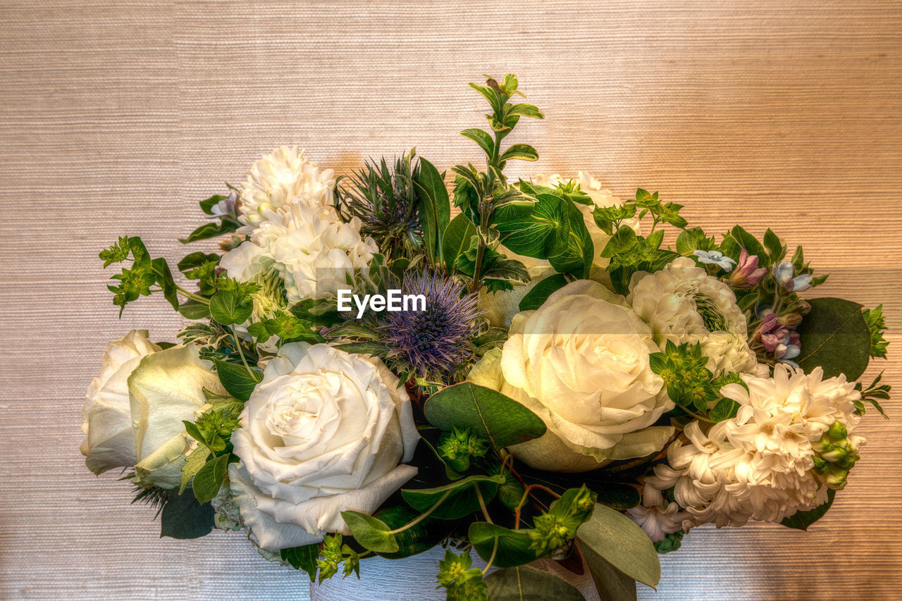 HIGH ANGLE VIEW OF ROSE BOUQUET ON PLANT