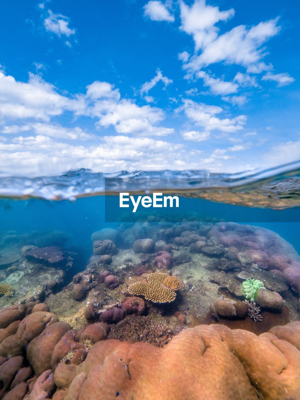 AERIAL VIEW OF SEA AGAINST BLUE SKY