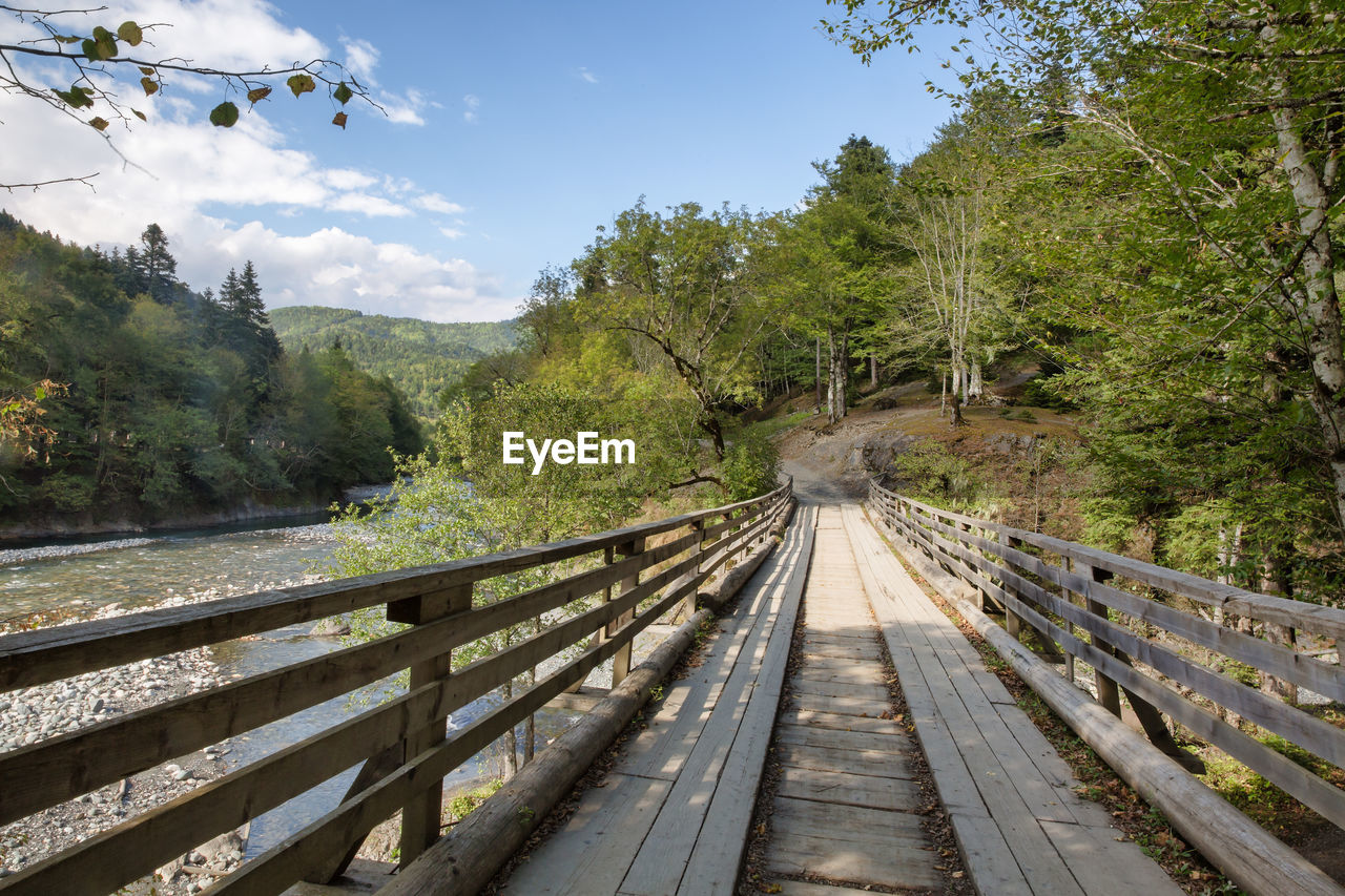 Wooden bridge to the trees against sky