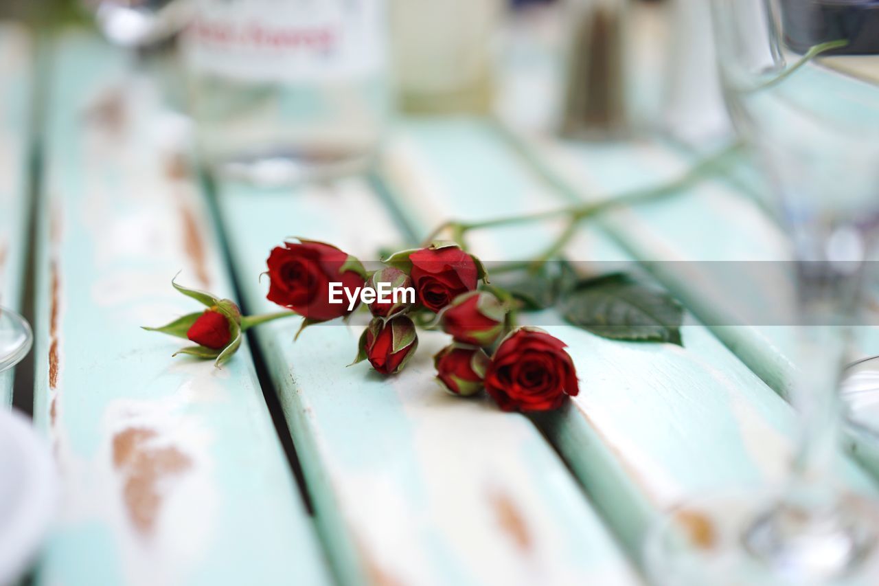 Red roses on table