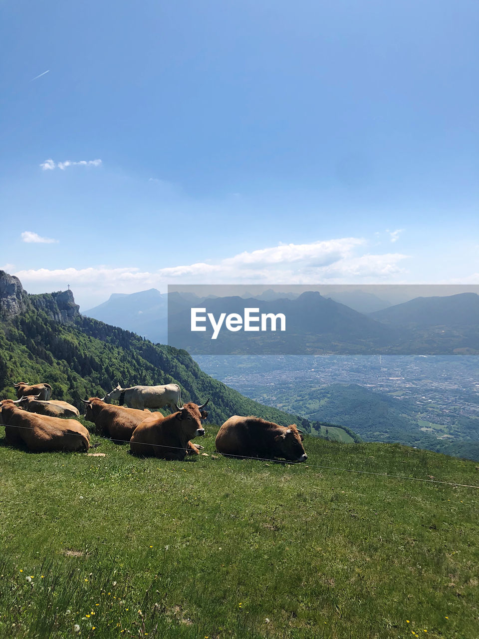 PANORAMIC VIEW OF LANDSCAPE AGAINST SKY