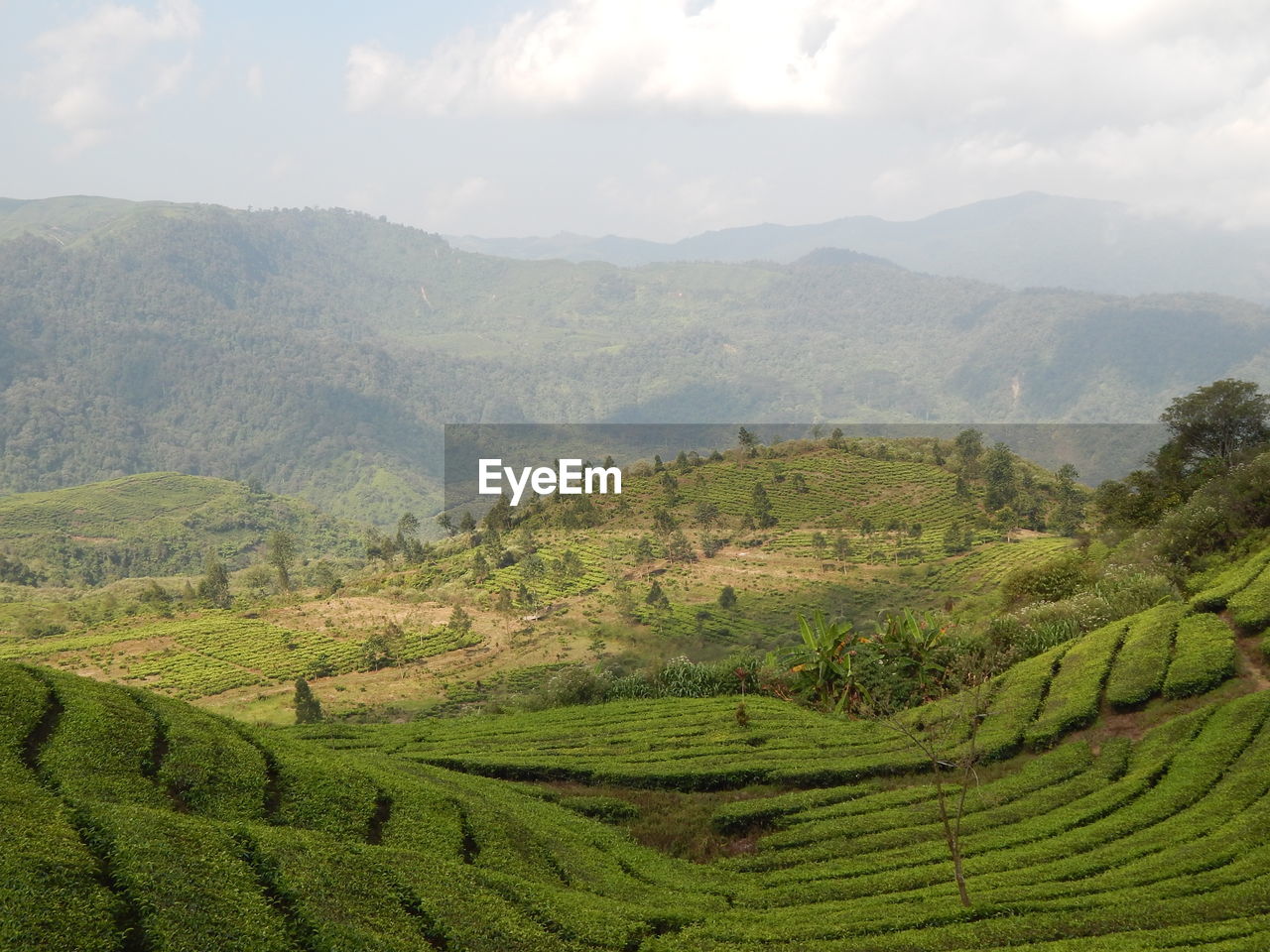 Scenic view of landscape