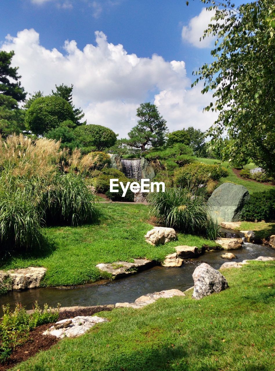 Stream flowing in field